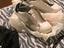 Immagine 2