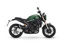 benelli-leoncino-800-stradale-e5