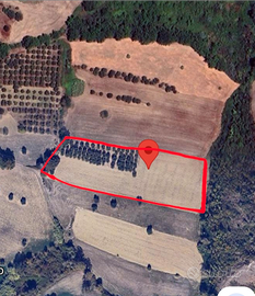 Terreno agricolo Mosciano Sant'Angelo