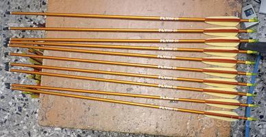 set frecce per arco sportivo 