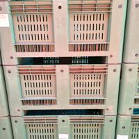 Bins plastica - Cassoni