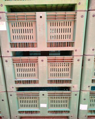 Bins plastica - Cassoni