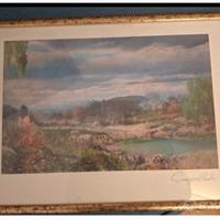 STAMPA IMPRESSIONISTA G.PENDE