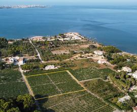 Terreno agricolo con vigneto C.da Spagnola