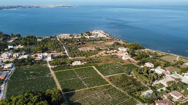 Terreno agricolo con vigneto C.da Spagnola