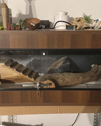 Teca in legno usata poco