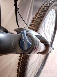 Bici MTB snella