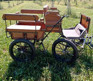 Cavali con carrozza