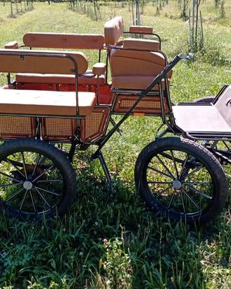Cavali con carrozza