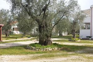 Vieste - Villette a Mare in Fresco Parco Naturale