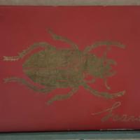 gioco Scarabeo anni 50 