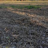 terreni agricoli fai da te