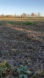 terreni agricoli fai da te