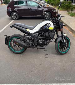 Benelli leoncino