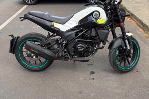Benelli leoncino
