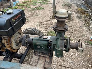 Pompa a motore carrellata