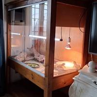 Teca grande con 3 Pogone