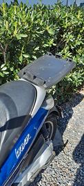 bauletto scooter  trasporto cani