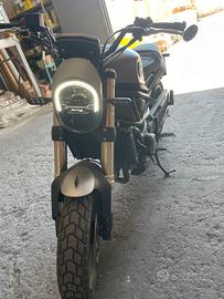 Benelli Leoncino 800