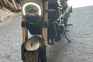 Benelli Leoncino 800