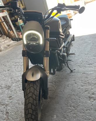Benelli Leoncino 800