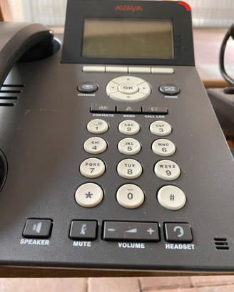 Avaya 9620L