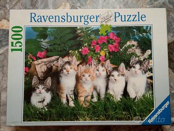 Puzzle 1500 pezzi
