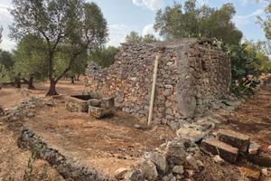 Terreno edificabile con fabbricato a Ostuni