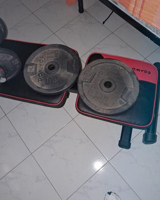 panca da palestra