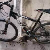 mountain bike usata