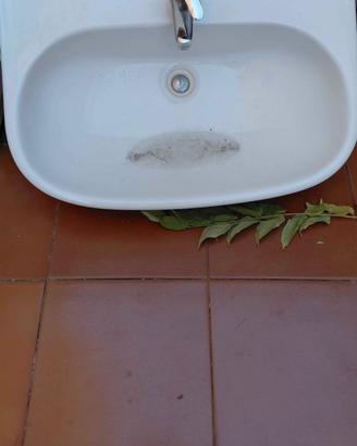 lavandino da incasso