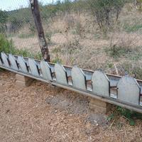 cattura ovini e caprini