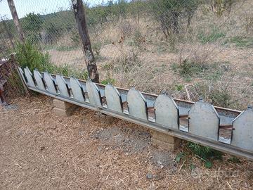 cattura ovini e caprini