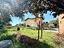Immagine 26