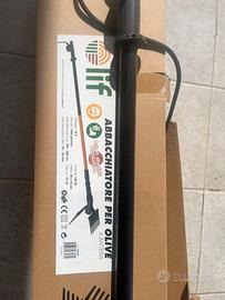 Abbacchiatore Olive