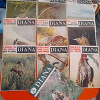 RIVISTE DI CACCIA " DIANA "  1960 1970