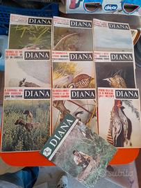 RIVISTE DI CACCIA " DIANA "  1960 1970