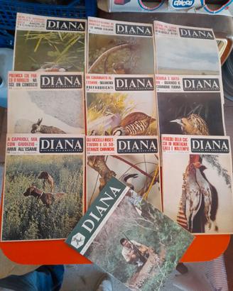 RIVISTE DI CACCIA " DIANA "  1960 1970