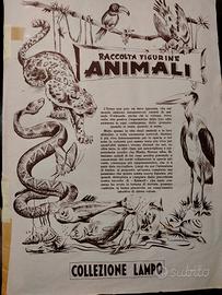 Raccolta Figurine Animali