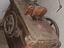 Immagine 1