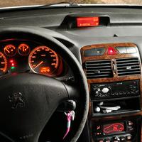 Peugeot 307 1.6 Benzina 
