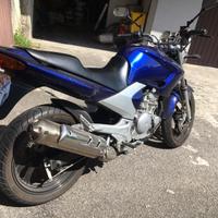 Yamaha YBR 250