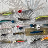 ESCHE ARTIFICIALI DA SPINNING e/o TRAINA