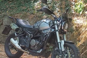 Moto voge 300 acx scrambler 