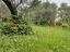 Immagine 19