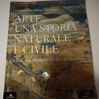 arte una storia naturale e civile 2