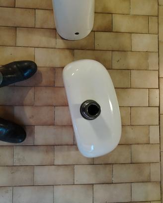 sciacquone bagno