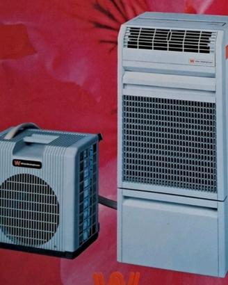 climatizzatore portatile 