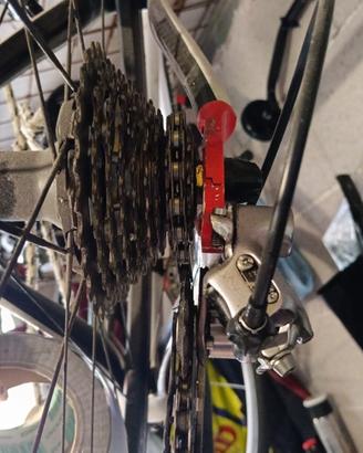 Cinelli