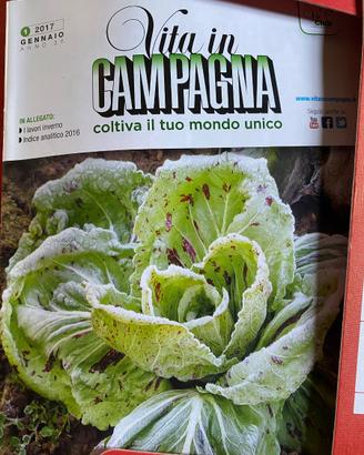 Riviste “ La  vita in campagna”  etc annate varie